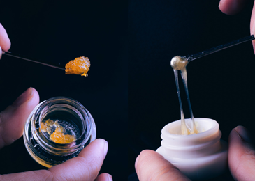 Types of Concentrates | What’s the Best Dab?