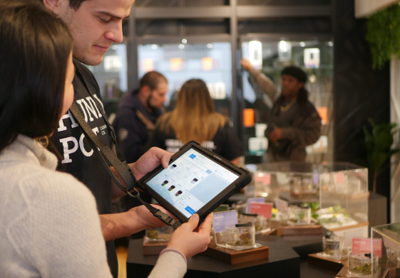 How to Start a Career in Cannabis Industry: A Guide for the Aspiring Entrepreneur