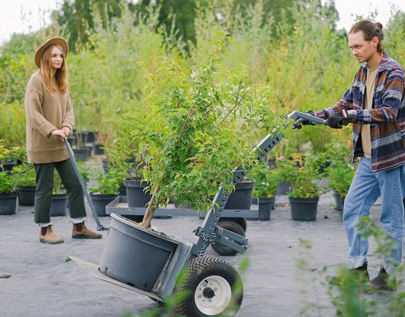 cannabis-and-the-environment-addressing-the-carbon-footprint-of-indoor-cultivation_featured_photo