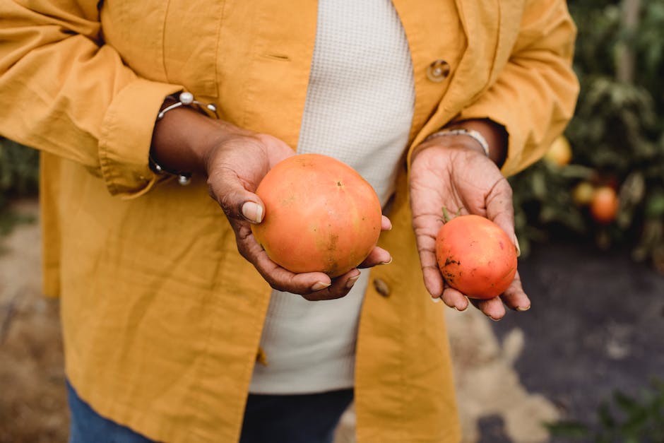 The Ukiah Farmers Market: Local Produce and Sustainable Living