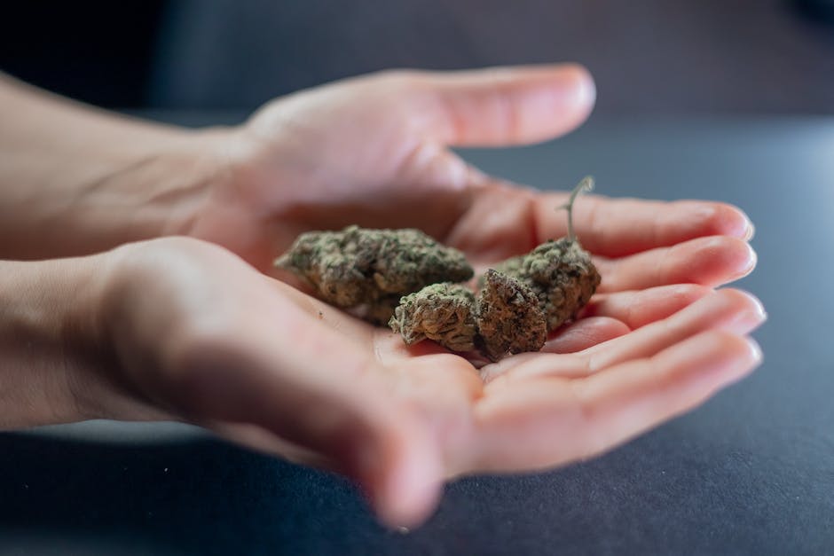 From Haight-Ashbury To Hemp Farms: Tracing The Spread Of Cannabis Culture Across The USA