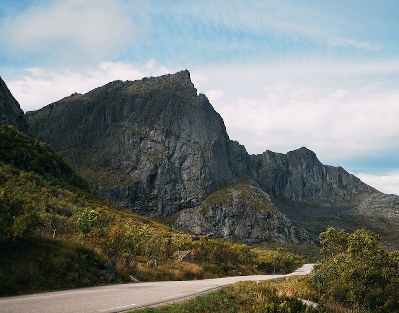 golden-states-green-treasures-a-journey-through-californias-cannabis-wonderland_featured_photo