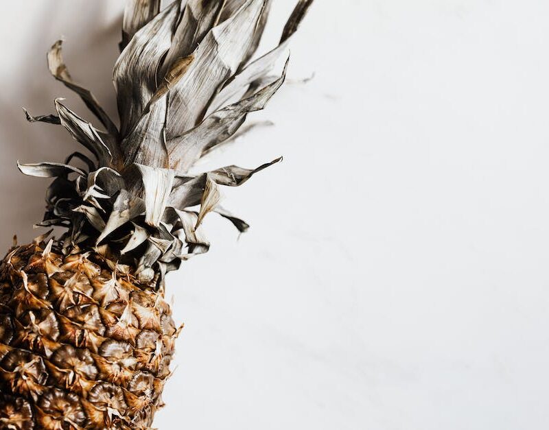 mindful-munchies-the-best-vegan-and-gluten-free-cannabis-edibles-in-california_featured_photo