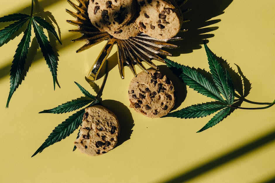 “Palm Springs’ Elite Cannabis Strains: Top 5 Options For The Recreational Market”