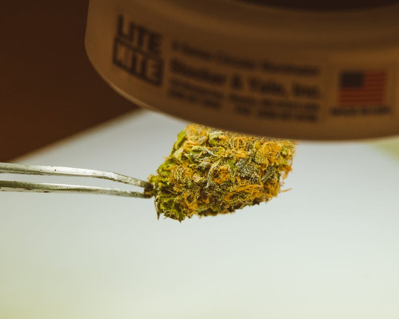 “Redding’s Best Buds: Top 5 Cannabis Strains For The Recreational Market”