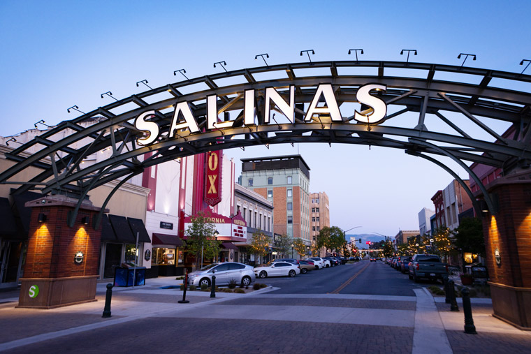 “Salinas’ Top Cannabis Strains: 5 Must-Try Varieties For Recreational Consumers”