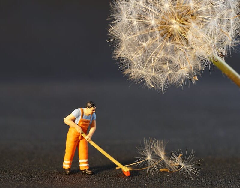 seeds-of-change-the-impact-of-cannabis-on-social-political-and-economic-landscapes_featured_photo