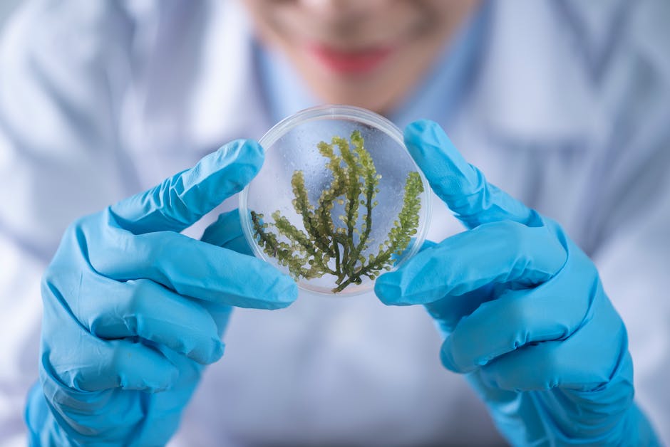 Cannabis Legalization: A Green Revolution with Far-Reaching Benefits