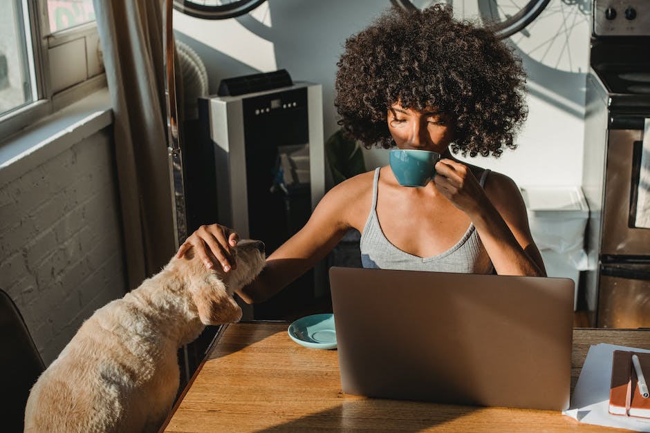 Cannabis And Pets: What Every Pet Owner Should Know
