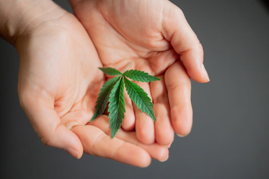 Growing Cannabis At Home: Tips For Successful Indoor Clone Cultivation