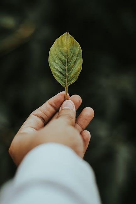 Leaf Ledger: Exploring the Green Frontier – Understanding Recent Marijuana Legal Reforms and Must-Know Guidelines for the Modern Consumer