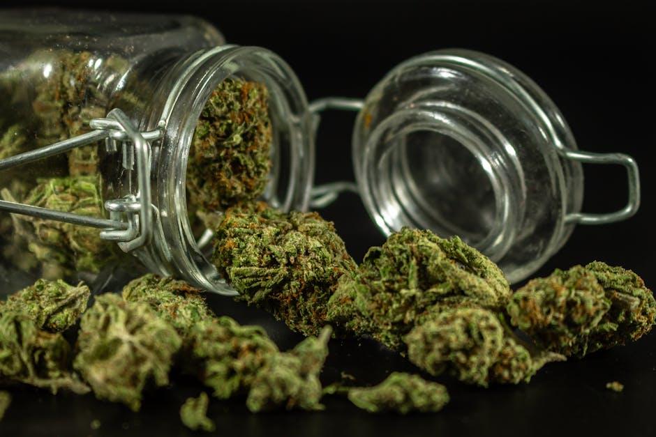 Transform Your Dispensary Visit: Unforgettable Etiquette Tips for an Elevated Experience
